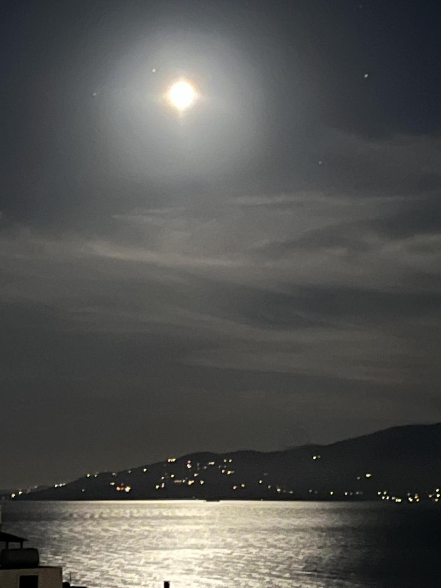 Apartment Bluemoon